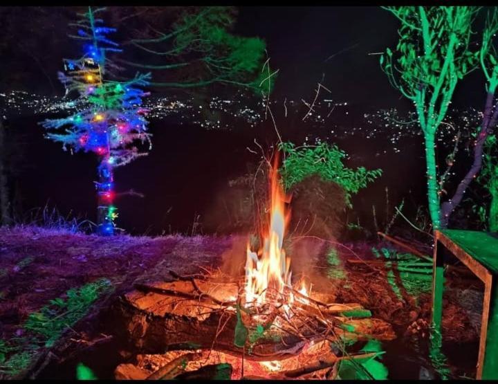 Aagaman Woods Διαμέρισμα Σίμλα Εξωτερικό φωτογραφία
